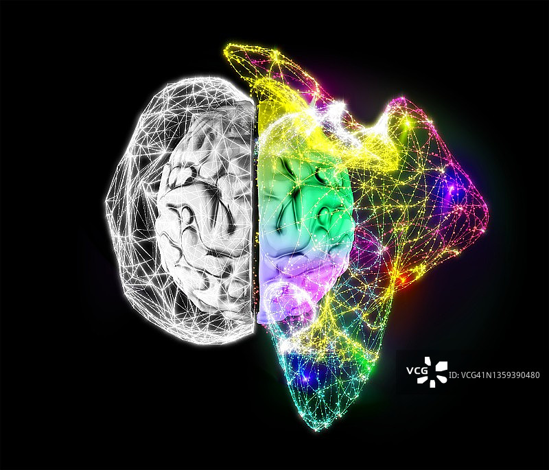 人脑大脑半球插图图片素材