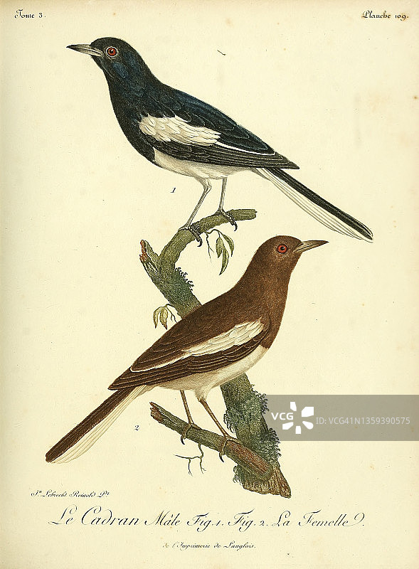 18世纪卡德兰插图图片素材