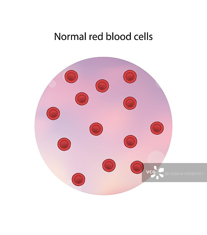 正常红细胞图示图片素材