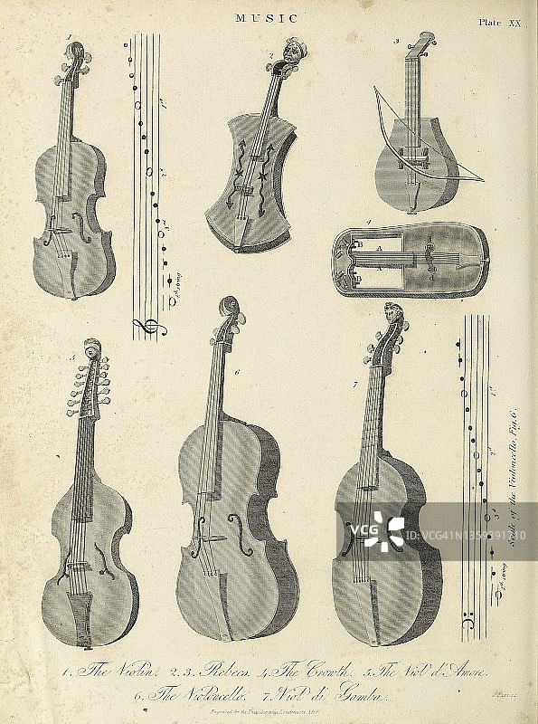 19世纪的紫罗兰与小提琴插图图片素材