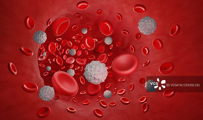 红白血细胞插画图片素材