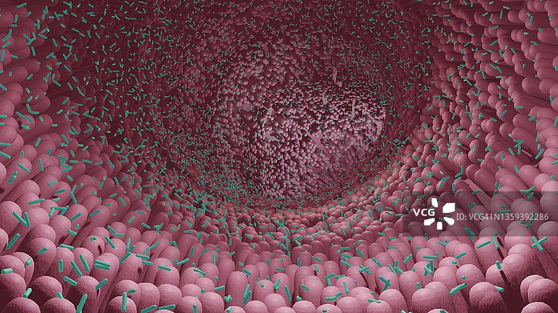 微生物群落，图示图片素材