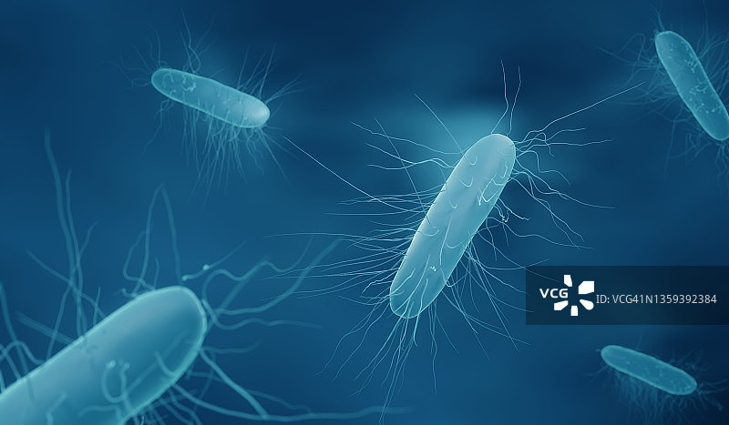 艰难梭菌细菌，图示图片素材