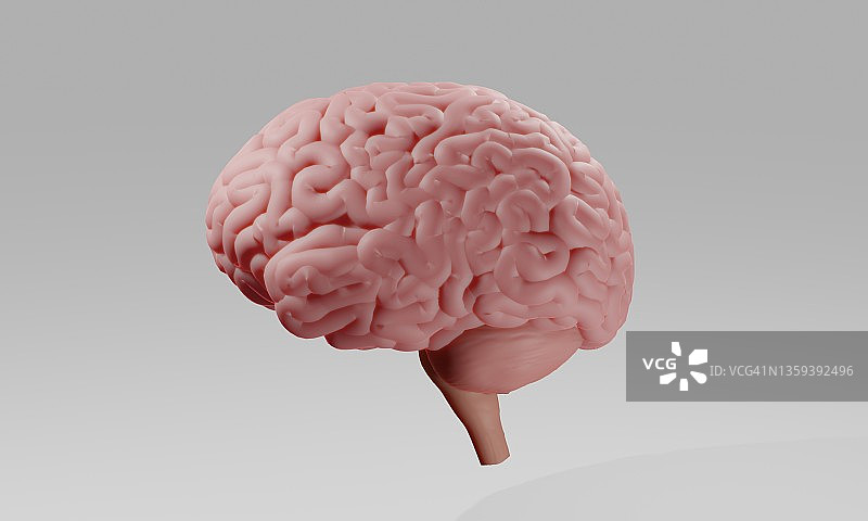 人脑插画图片素材