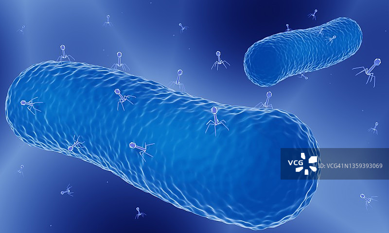 噬菌体疗法示意图图片素材