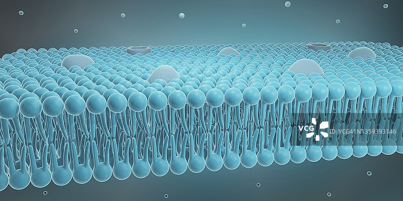 细胞膜示意图图片素材
