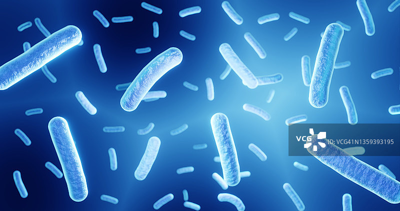 乳酸杆菌图片素材