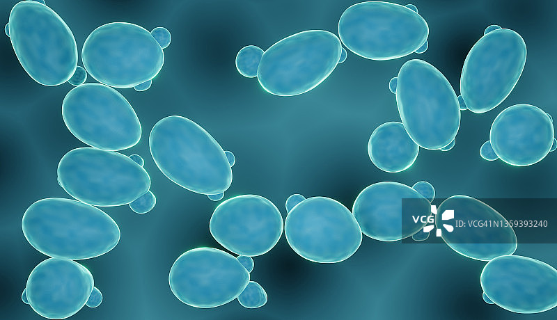 益生菌酿酒酵母，图示图片素材