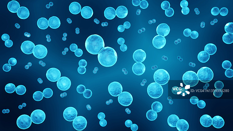 肺炎链球菌细菌插图图片素材