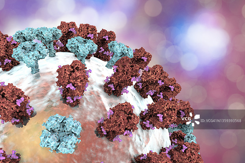 流感病毒插画图片素材