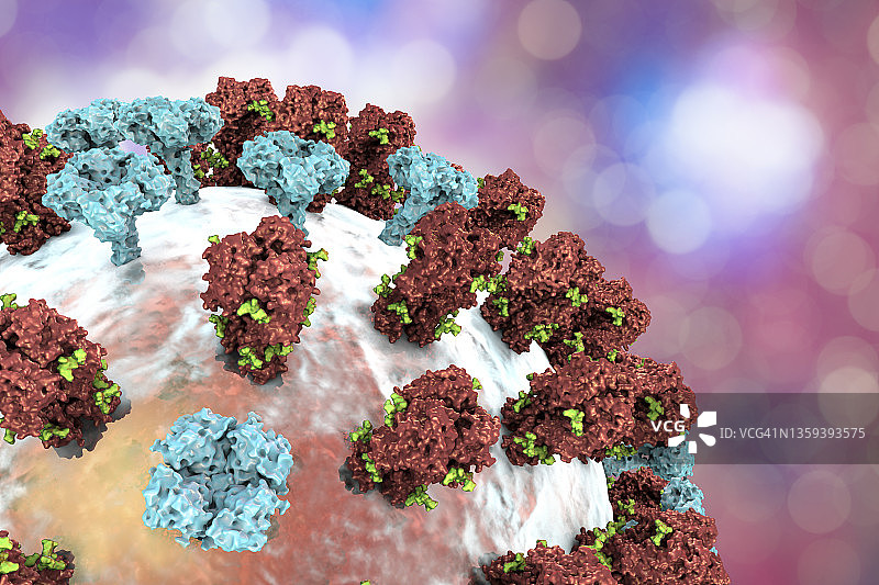 流感病毒插画图片素材