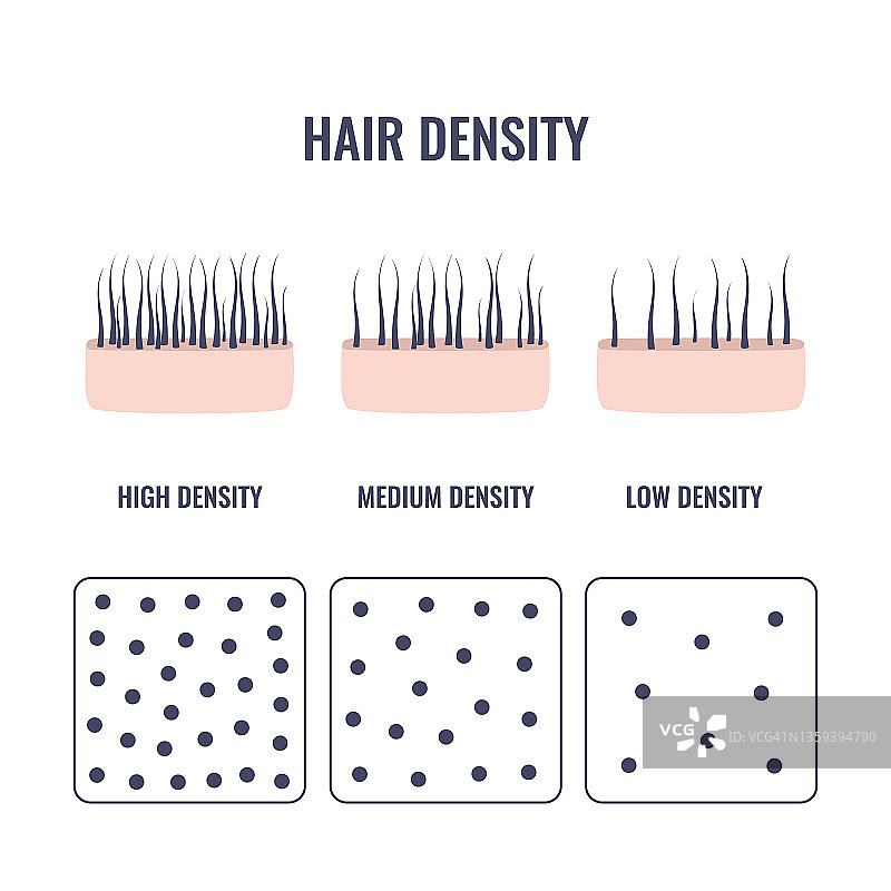 头发密度类型概念图图片素材