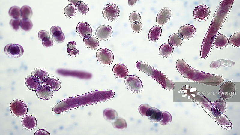 不同形状的细菌插图图片素材