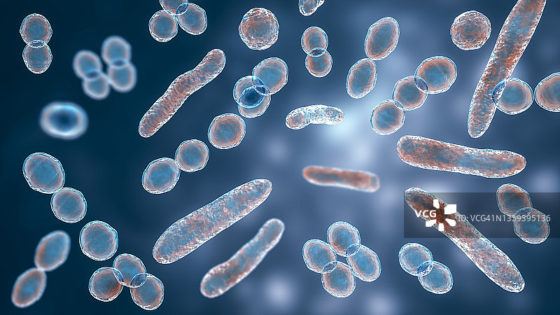 不同形状的细菌插图图片素材