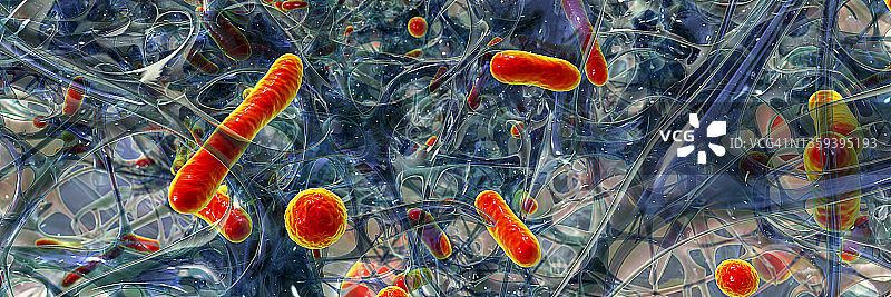 生物膜中的细菌图片素材