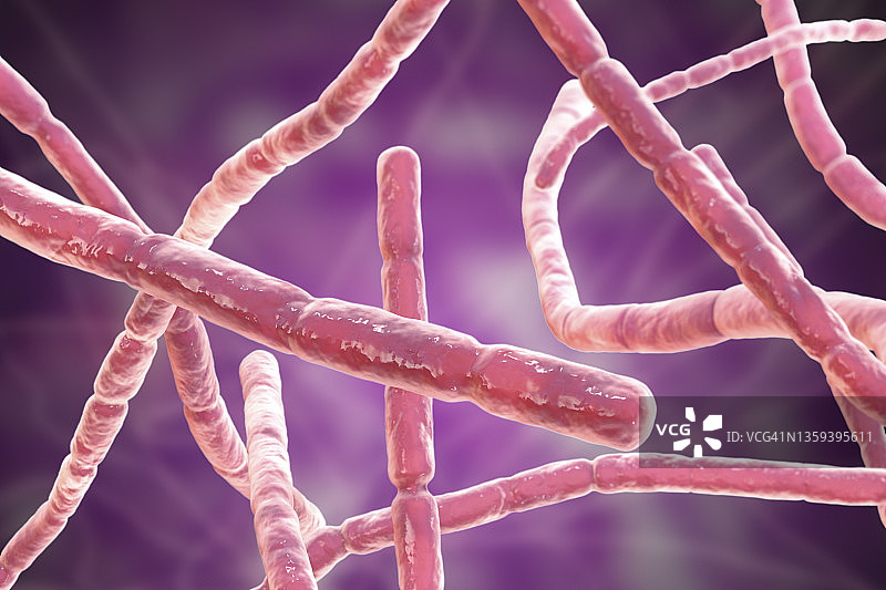 诺卡氏菌细菌图图片素材