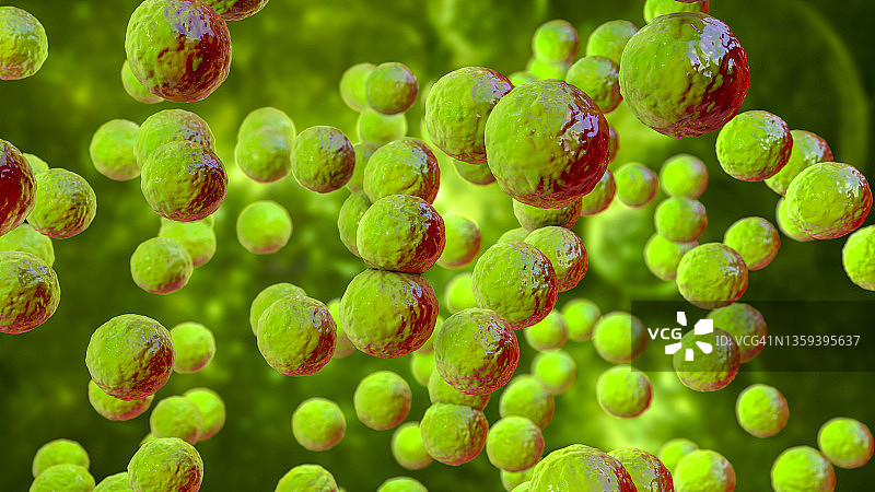 片球菌细菌插图图片素材