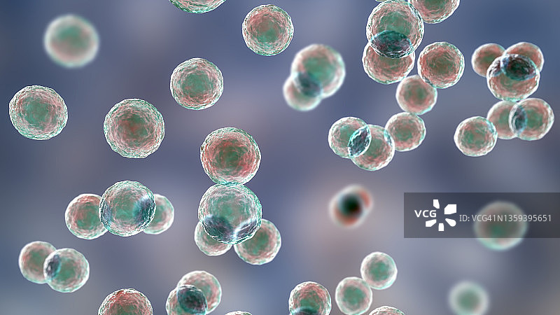 片球菌细菌插图图片素材