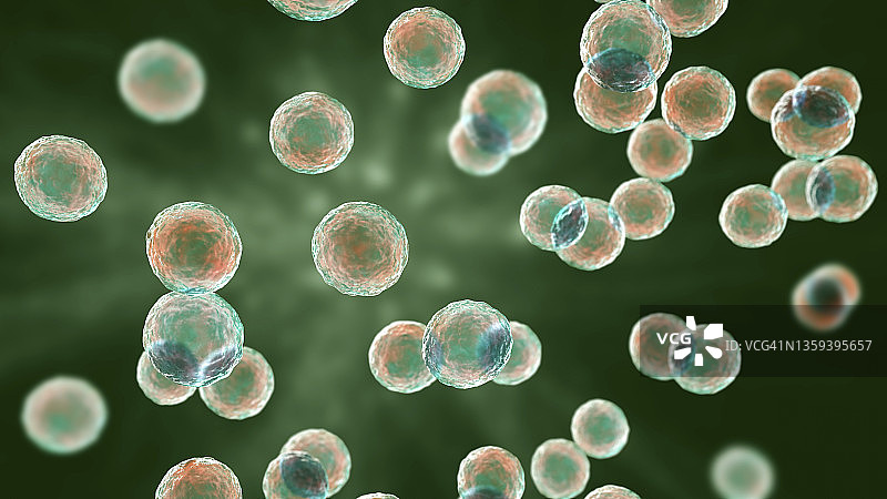 片球菌细菌插图图片素材