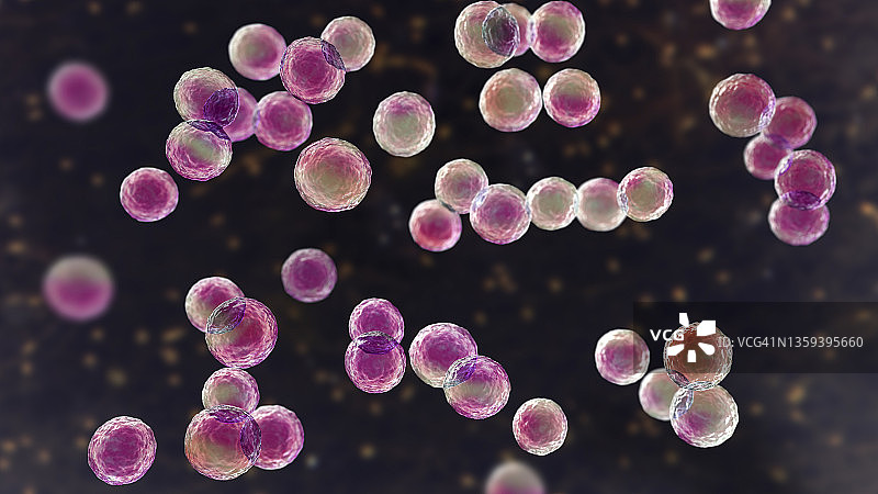 片球菌细菌插图图片素材