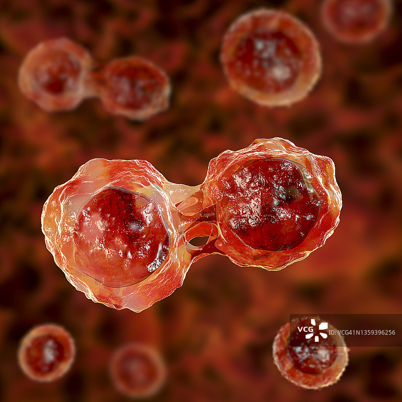 干细胞，图示图片素材