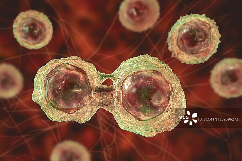 干细胞，图示图片素材