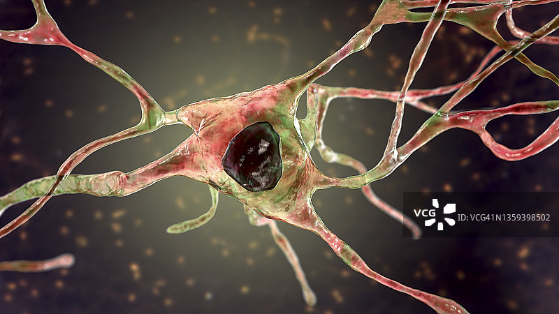 神经细胞、插图图片素材
