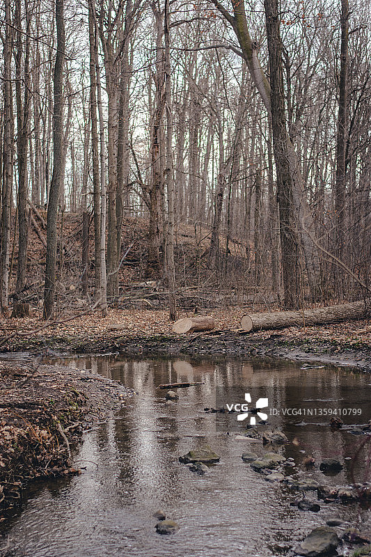 加拿大基奇纳公园的秋日景色图片素材