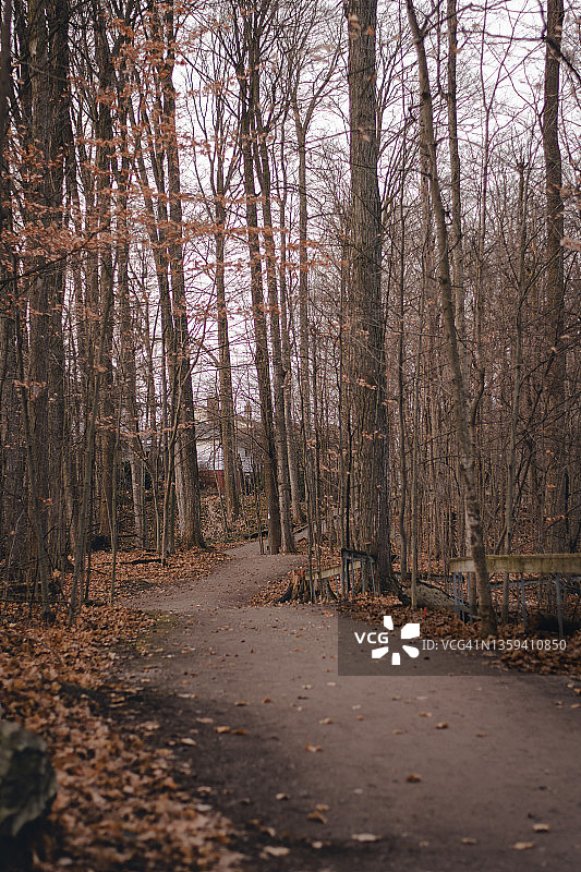 加拿大基奇纳公园的秋日景色图片素材