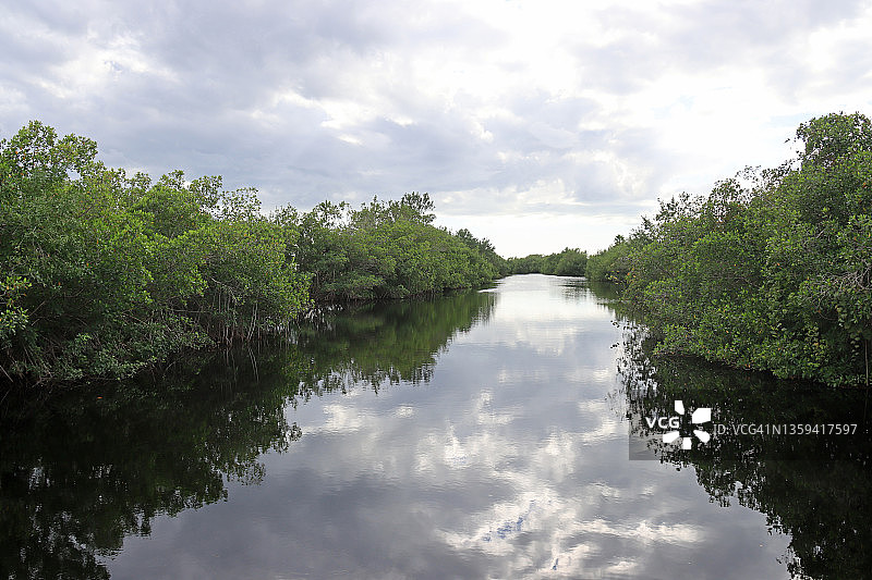美国佛罗里达大沼泽地红树林水道倒影天空图片素材