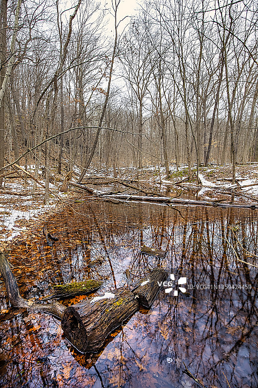 冬天的场景图片素材