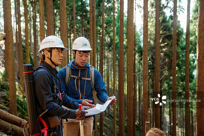 两名林业工人在选择性伐木场审查地形图图片素材