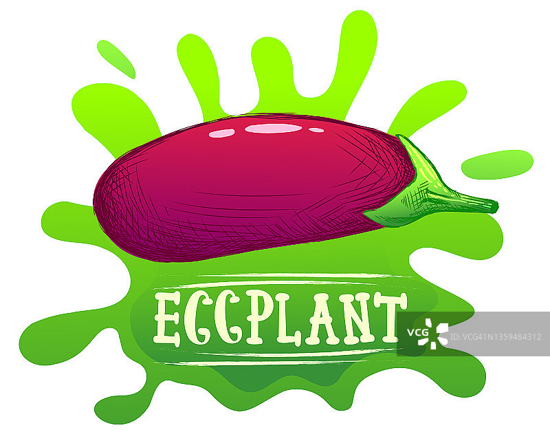 鲜艳色彩的茄子插画，带有茄子字样的题字或刻字。用于广告、banner、包装或发布食谱的插图。蔬菜美食插画图片素材