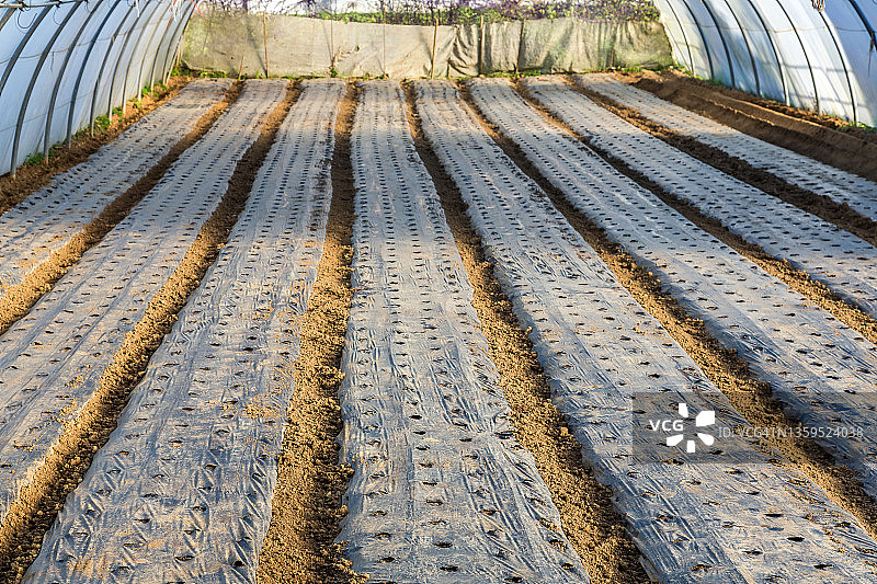 温室里准备种植的覆盖床图片素材