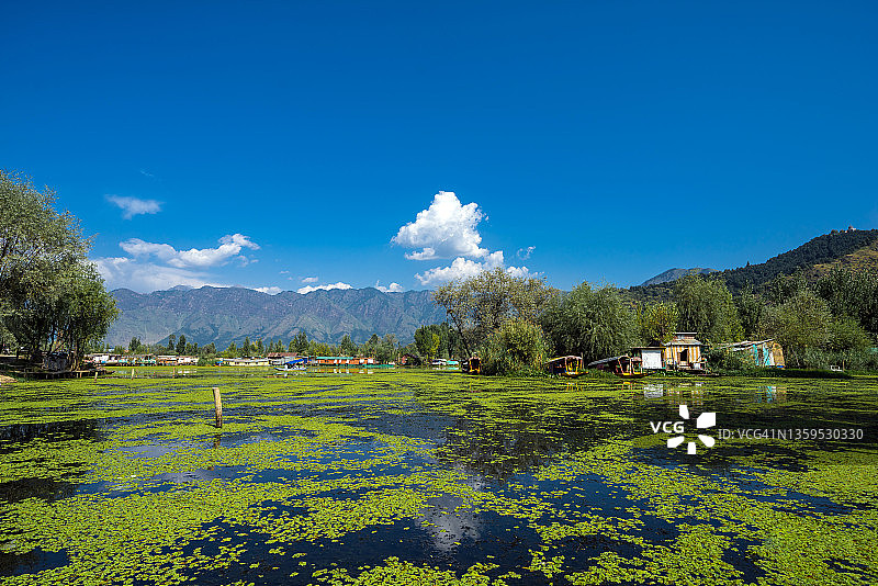 斯利那加达尔湖风光，印度查谟和克什米尔的夏季首府图片素材