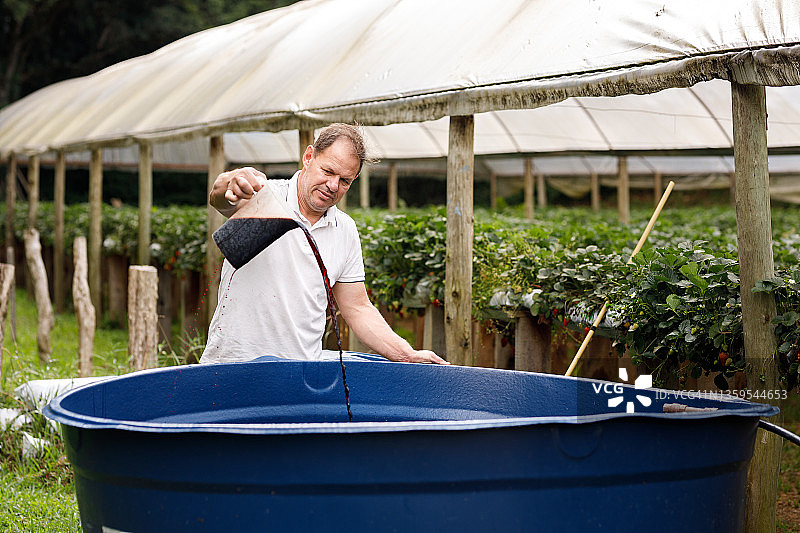 男子在有机农场的灌溉系统中添加养分，后方有温室图片素材