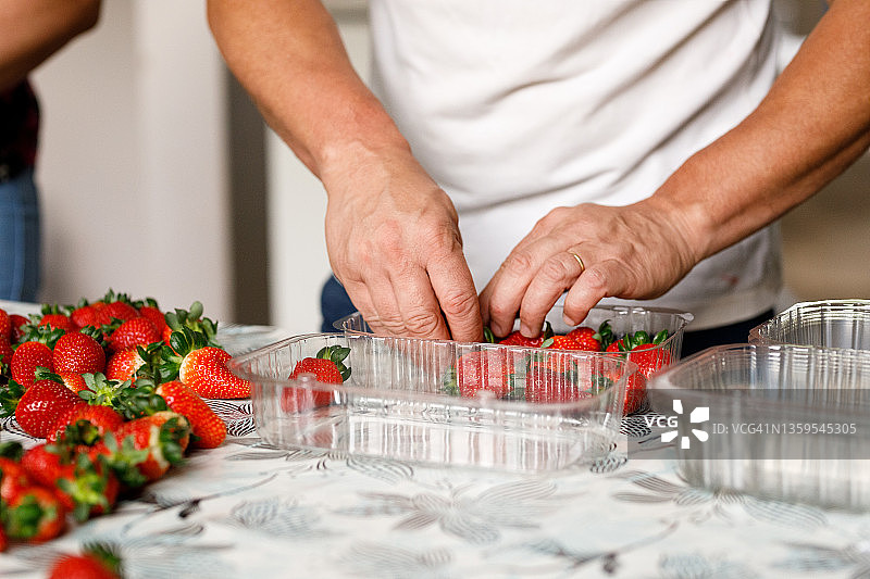 男子用手摘的有机草莓装满塑料容器图片素材