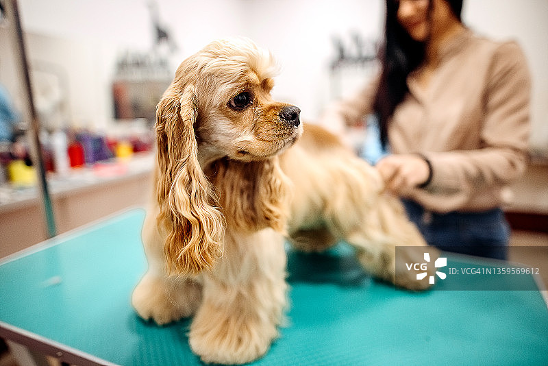 美容沙龙图片素材