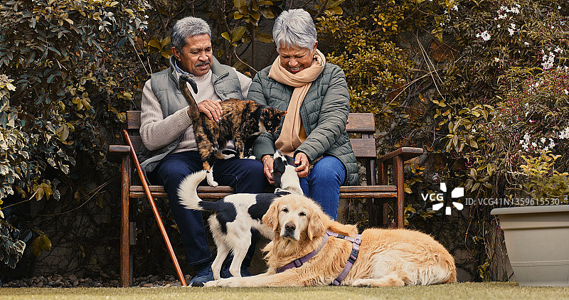 快乐的老年夫妇在花园里与宠物玩耍图片素材