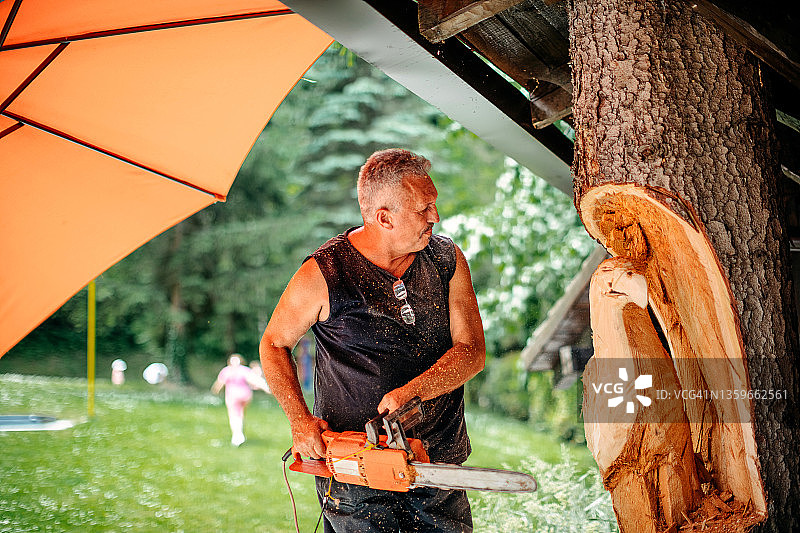 在树上制作图腾图片素材