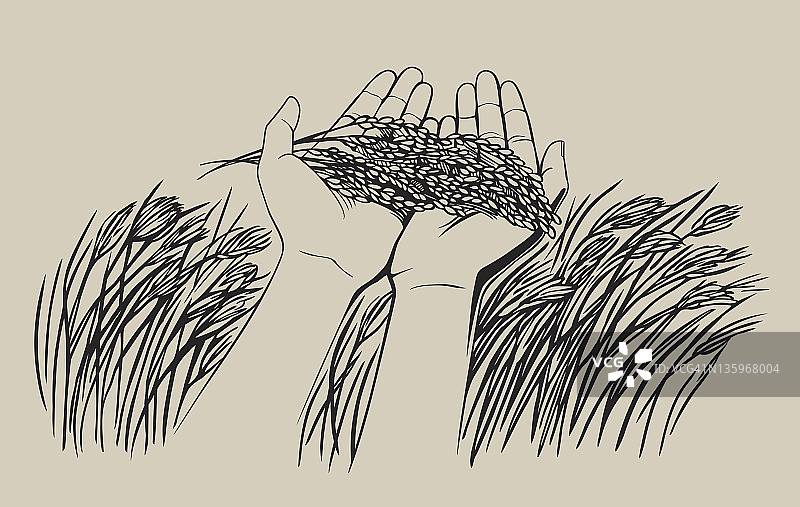 田野麦穗采摘手部图案设计图片素材