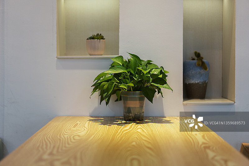 空桌上的绿色植物特写图片素材