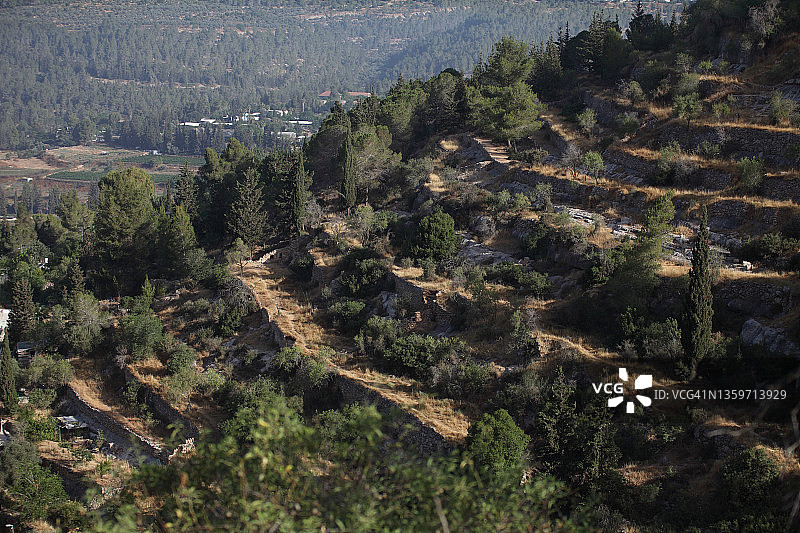 古代农业：在朱迪亚山坡上建造的梯田的风景图片素材