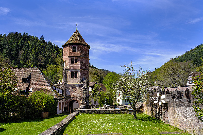 德国巴登-符腾堡州希尔绍修道院夏季景色图片素材