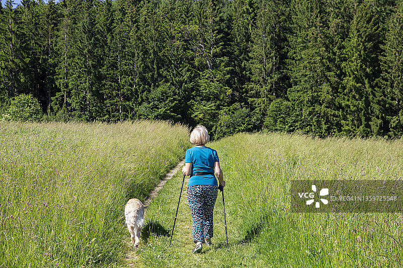女子与金毛犬在草地上徒步图片素材