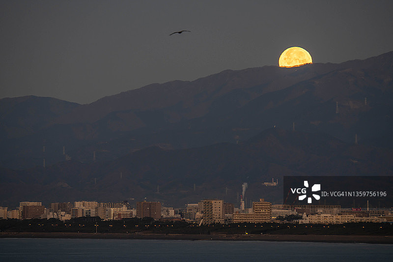 日本神奈川县山区满月晨景图片素材