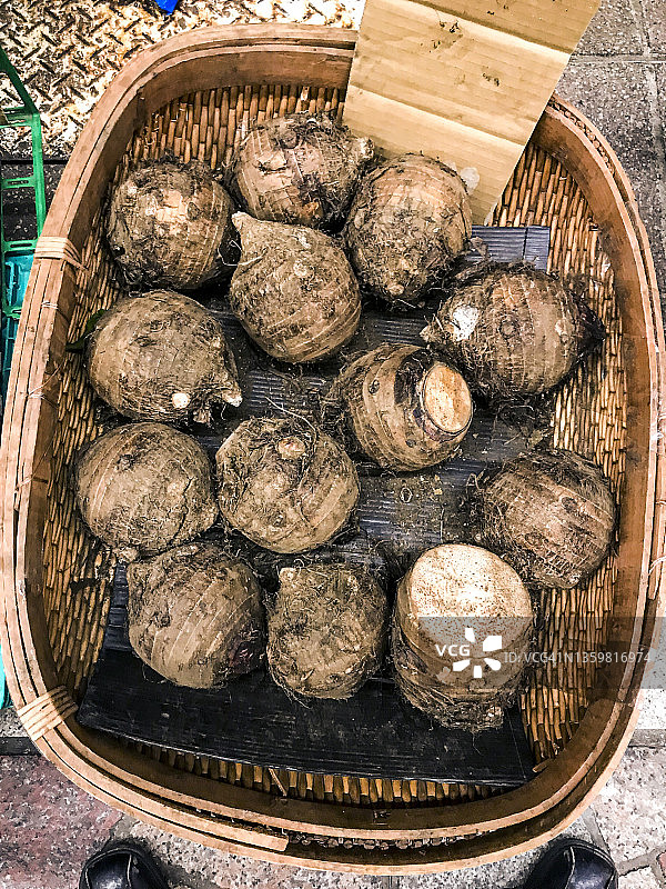 芋头根（母块茎；母块根；母球茎）图片素材