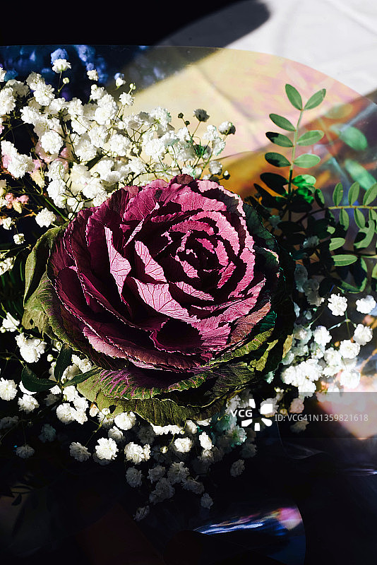 观赏性甘蓝花束，搭配满天星图片素材