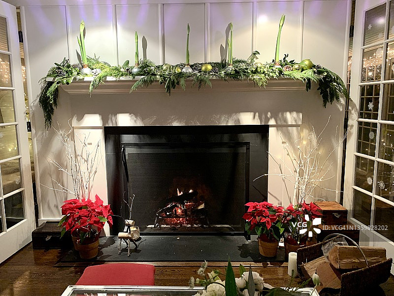 圣诞节家居装饰图片素材