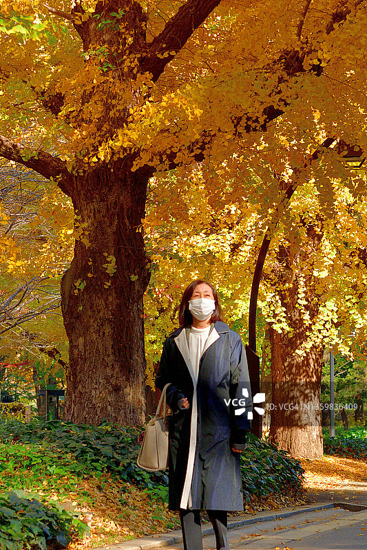 日本女人在东京日比谷公园欣赏秋叶图片素材
